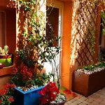 Petit Patio En Centre Nîmes