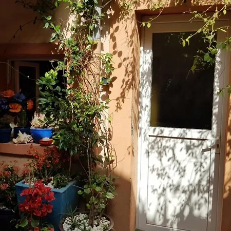 Petit Patio En Centre *