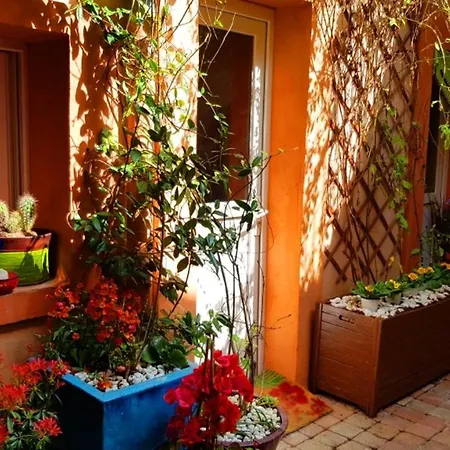 Petit Patio En Centre 尼姆