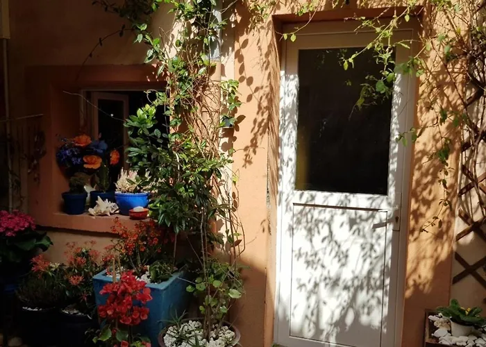 Petit Patio En Centre *