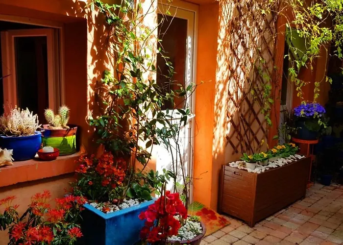 Petit Patio En Centre Nimes