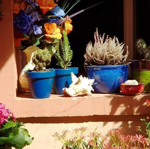 Petit Patio En Centre Nimes