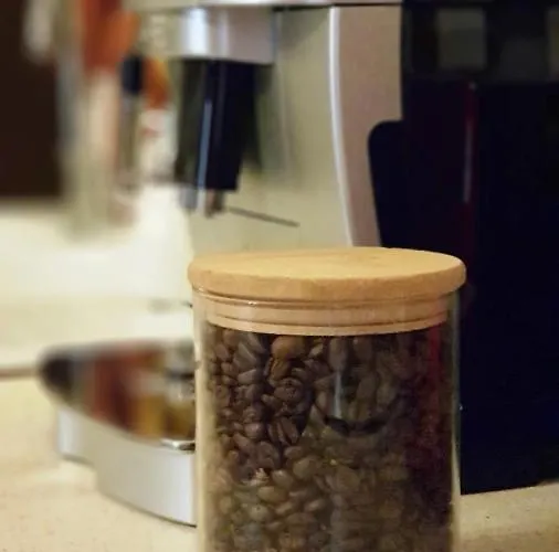 Petit Patio En Centre * Nimes